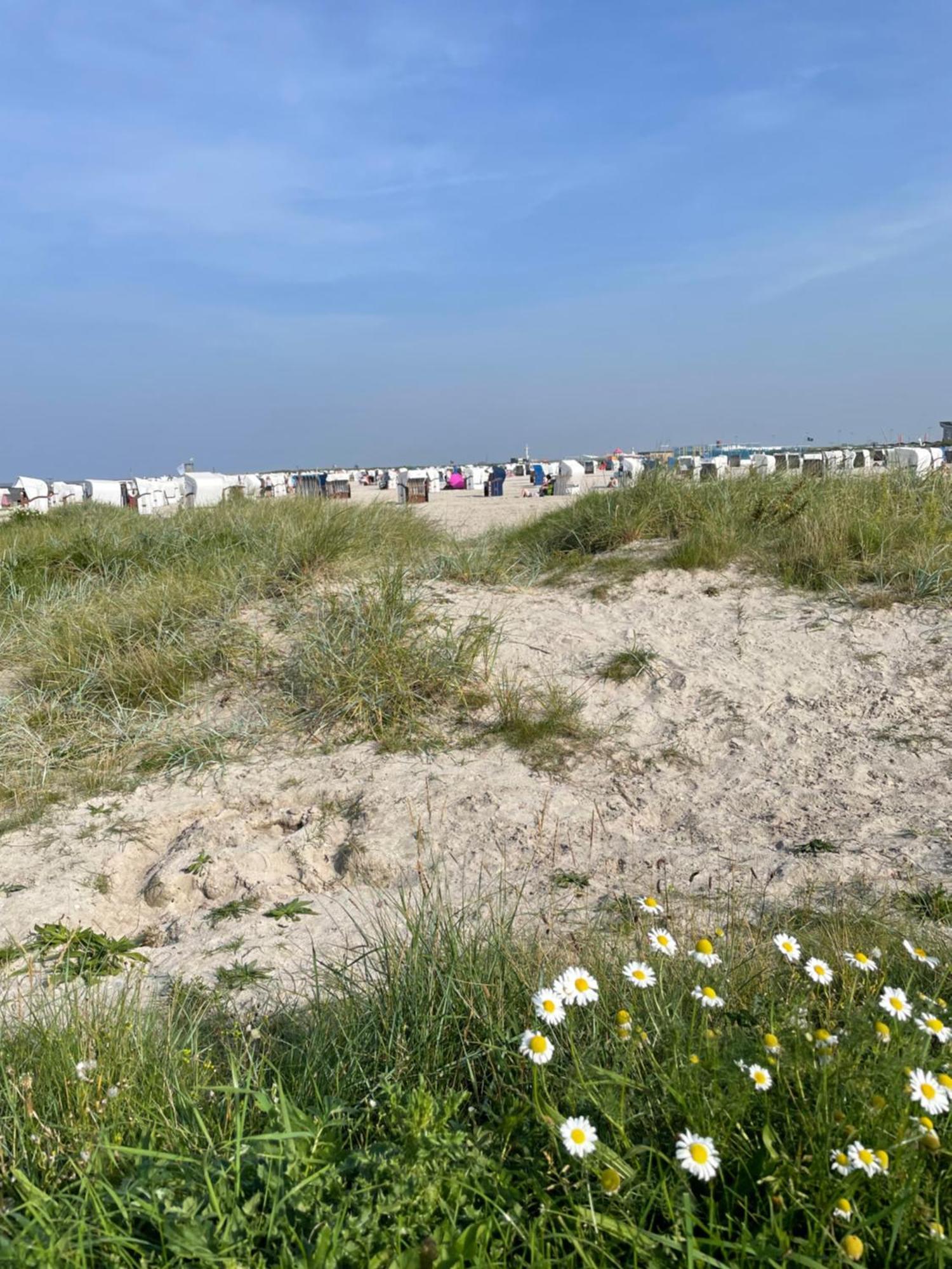 Apartmán Carolinensiel/Harlesiel Exteriér fotografie